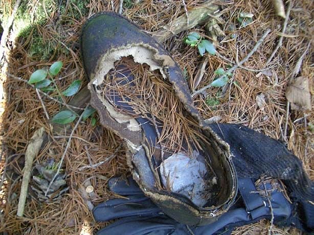 Stopy po sebevrazích jde v pralese Aokigahara nalézt na každém kroku.