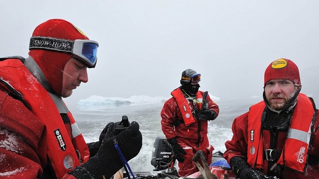 ROZHOVOR: Češi v Antarktidě letos nasbírali přes 1000 parazitů