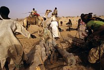 Dárfúr je sužován nejen suchem, ale i nestabilní politickou situací.