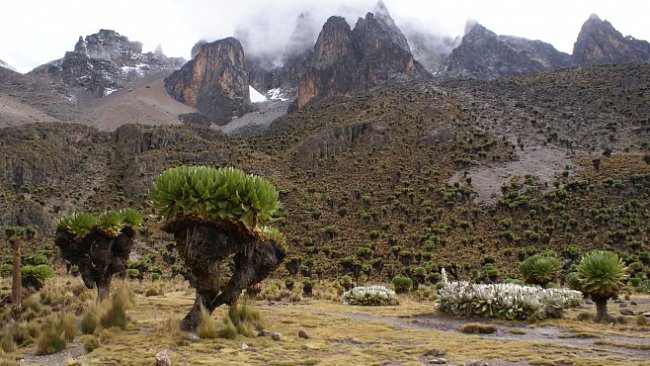Dobytí Mt. Kenya Čechem Jakubem Zahradníčkem