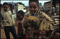 Chudí Afričané nemají peníze na veterinární péči svých koček nebo psů.