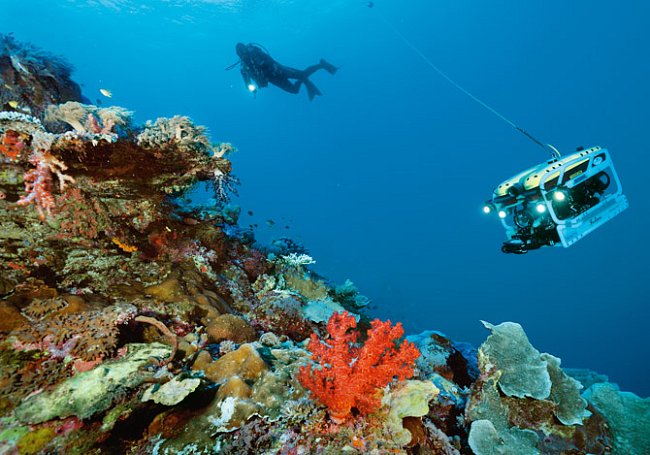 Potápěč zkoumá nedaleko indonéského souostroví Raja Ampat (vlevo) mělkovodní část svahu podmořské hory obalenou korály; dálkově ovládané vozítko může prozkoumat svahy ve větší hloubce. 