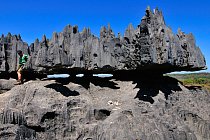 Tsingy de Bemaraha 