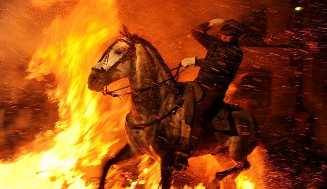 Koně v ohnivé výhni: drsný španělský zvyk nešetří lidi ani zvířata