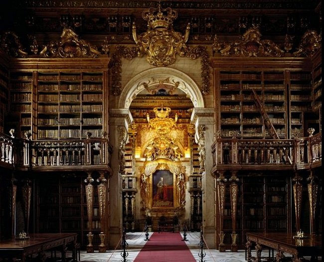 Barokní Biblioteca Joanina, Coimbra, Portugalsko, je domovem pro 70 000 svazků – a kolonii netopýrů. Hmyzožraví tvorové přispívají k ochraně knihovních fondů před škodlivým hmyzem přinejmenším od 19. století a knihovníci se postarali o jejich pohodlí.