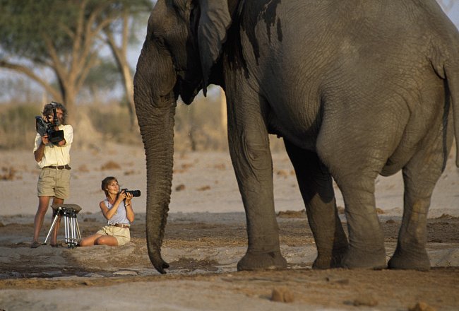 Slon africký se v Botswaně (1994) dostal velmi blízko k fotoaparátu
National Geographic.