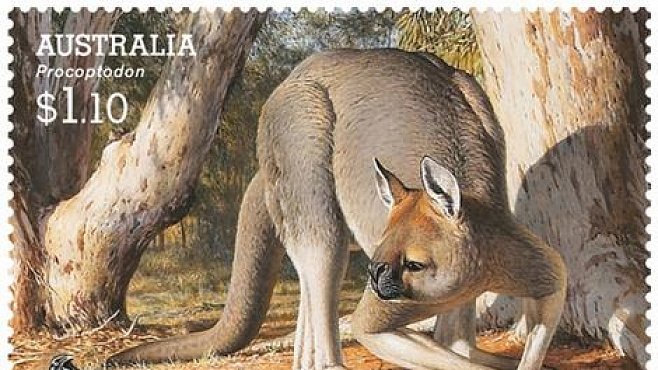 Třímetrové klokany a obří wombaty vyhubil člověk, ne změna klimatu