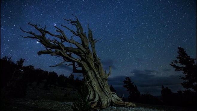 VIDEO: Perseidy nad Joshua Tree. Časosběr z říše snů