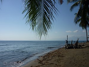 Nádherné pobřeží poblíž Maumere na Floresu turisté ještě neobjevili