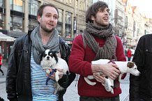 Hvězdy muzikálu Rent, který uvádí Divadlo Kalich, vzaly s sebou i své psí miláčky.