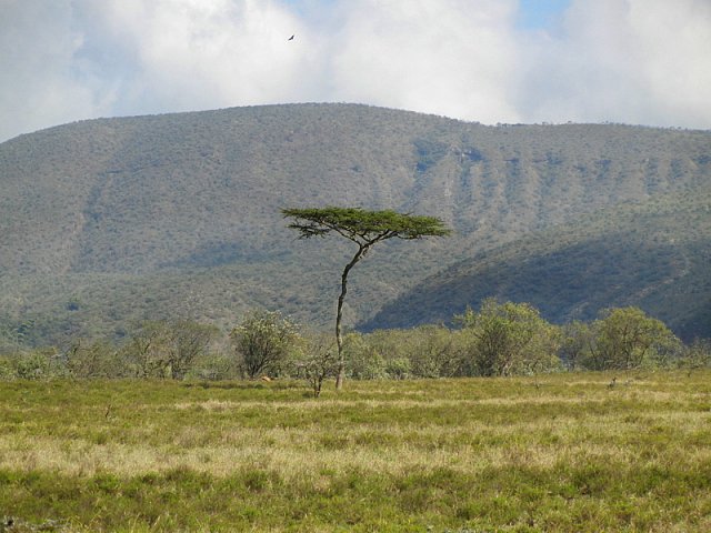 Národní park Hell's gate v Keni