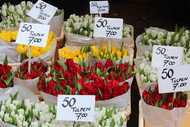 Tulipány na květinovém trhu
