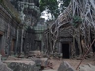 Chrám Ta Prohm, ve kterém se natáčel první Tomb Raider s Angelinou Jolie.