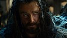 Richard Armitage (Thorin)