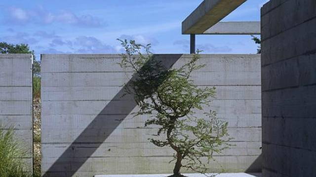 Kombinace waleské architektury, minimalismu a zahrady japonských rysů.