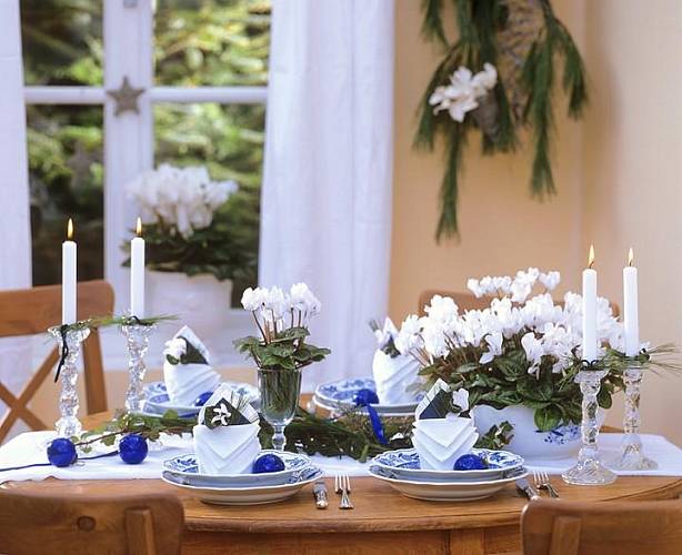 Kdo upřednostňuje modro-bílou nebo modrostříbrnou dekoraci, určitě nepohrdne kouzelnou kombinací modrých vánočních koulí a svěžích bramboříků.