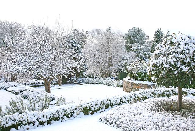 Zahrada pod sněhem zalévat nepotřebuje, sněhová pokrývka zajistí potřebnou vláhu.