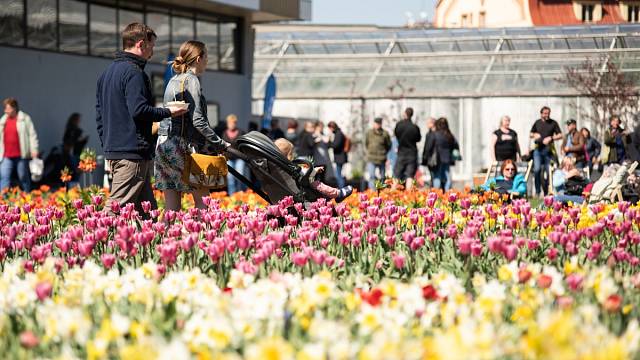 Zapište si do diáře, že jarní Flora Olomouc začíná 20. dubna.