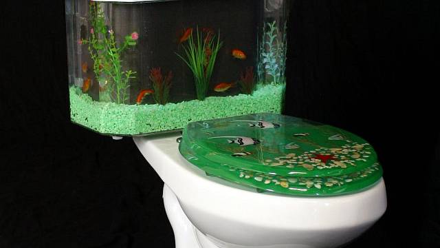 Záchod plný rybiček