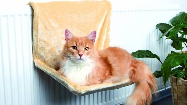 Závěsné odpočívadlo na radiátor Trixie vaše kočka ocení. Je měkké, pohodlné, u zdroje tepla, což kočky milují.