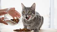 Kvalitní kočičí granule poskytnou kočce všechny potřebné živiny.