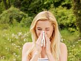 Nejhorší letní alergeny