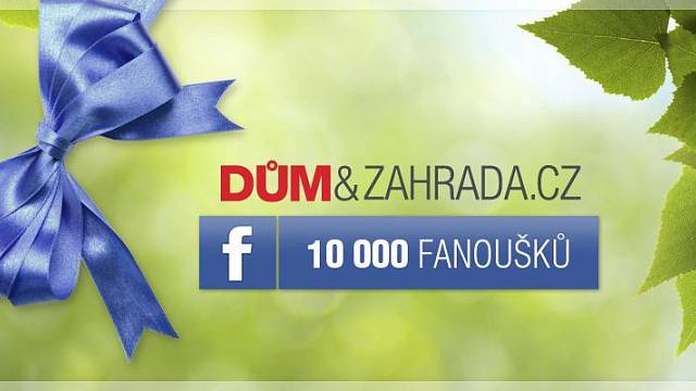 Facebook - 10000