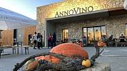 Na mladé víno můžete zajít rovněž do vinařství Annovino v Lednici, kde budete obdivovat nejen jeho vůni a chuť, ale také zdejší budovu z mušličkového vápence.