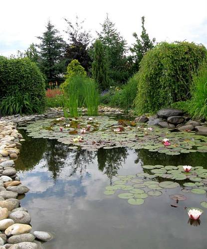 Profesionálně vytvořené jezírko může budit dojem zmenšené kopie přirodního jezera (Zahradnictví Bouše).