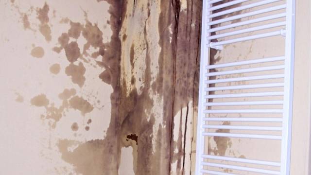 Průsak kondenzátu špatným komínem na povrch stěny. Foto:Zbigniev Ondřej Adamus