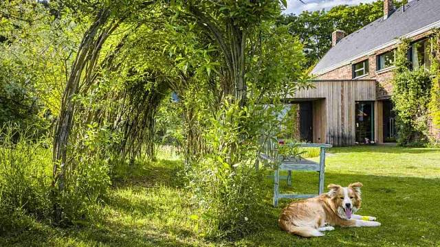 zahrada-s-biotopem - Dumazahrada.cz