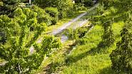 Na dlouhé přístupové cestě k domu je vysazená alej ovocných stromů; kamenné zídky jsou hustě porostlé suchomilnými rostlinami 