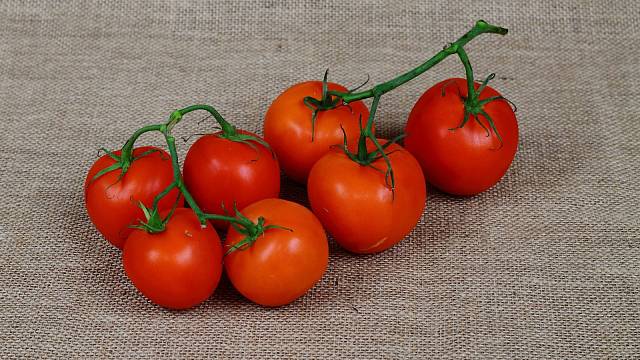 3 nejčastější chyby při zalévání rajčat