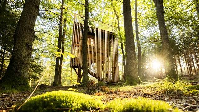 Stromovny slibují zážitek z lesa v moderním pojetí.