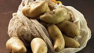 Keřkovské rohlíčky: nejlepší odrůda brambor na vánoční salát