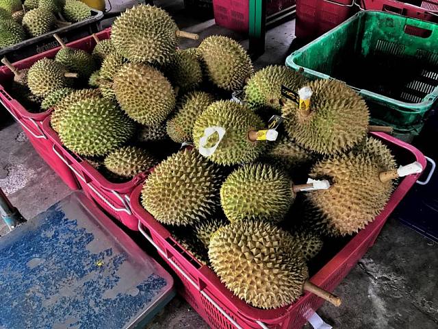 Durian na tržnici v Kuala Lumpur