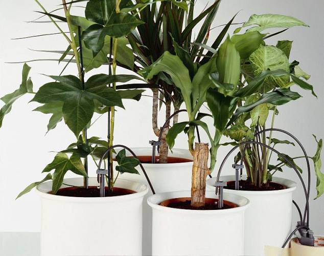 Pokud máte opravdu hodně rostlin a býváte často pryč, můžete zvolit automatizovaný samozavlažovací systém, který vyrábí například značka Gardena.