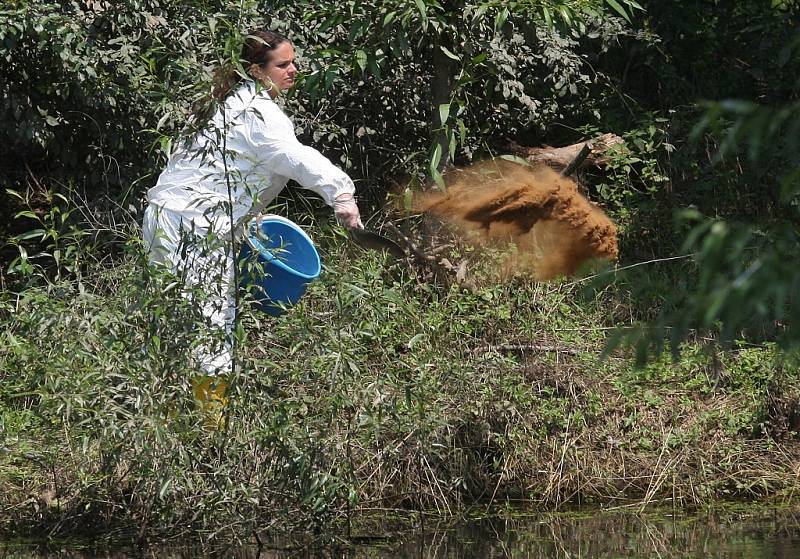 CHEMIE. Pracovníci dezinsekční a deratizační firmy likvidují larvy i vylíhnuté komáry v Bohušovicích. V terénu nyní budou každý den, pokud to počasí dovolí.