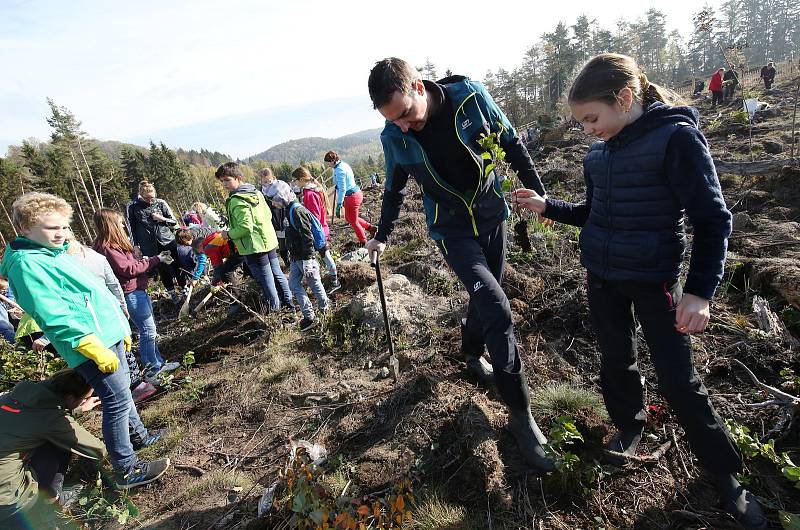 Mezi stovkami nadšenců, kteří vysazovali nový les v Lovečkovicích, byly nejen celebrity jako hokejisté Martin Škoula či Jiří Šlégr, ale také spoustu dětí.