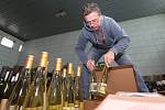 Příprava vína na Vinařské Litoměřice 2017