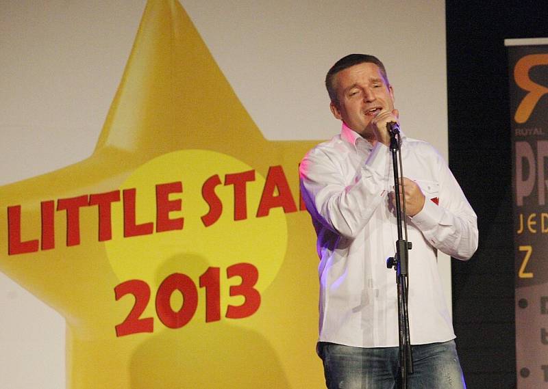 Little star 2013.