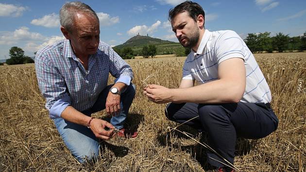 Na pozvání předsedy Zemědělského družstva Klapý Otakara Šaška přijel i prezident agrární komory Jan Doležal, se kterým problém řeší.