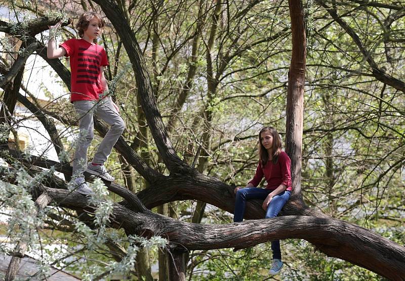 Očistný festival představil divadlo na stromě 