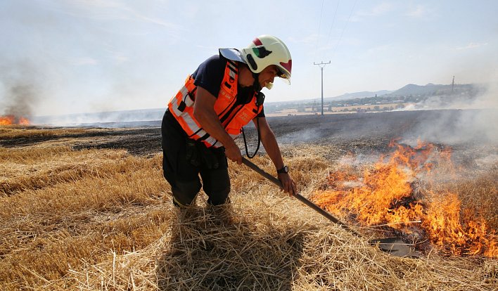 Požár pole u Litoměřic ve směru na Trnovany