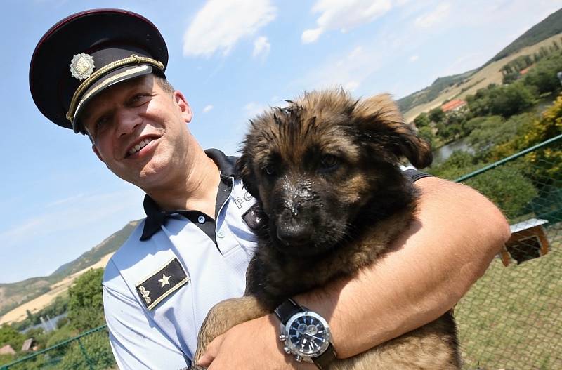 Chovná stanice služebních psů Policie ČR se po pěti letech opět přestěhovala zpět do Prackovic nad Labem.