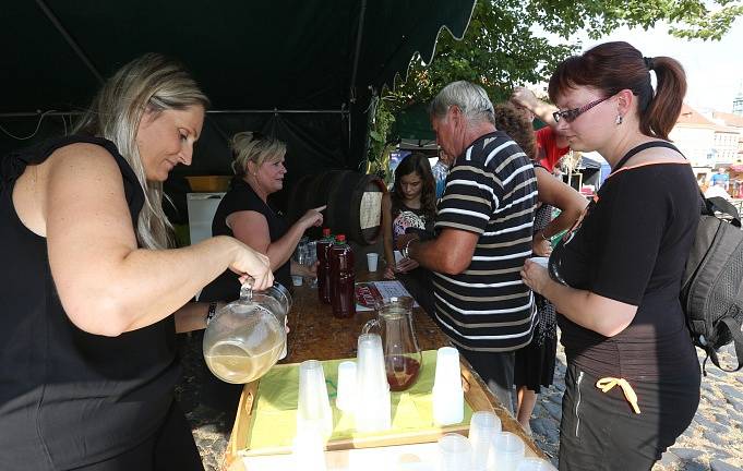 První den litoměřického vinobraní 2016