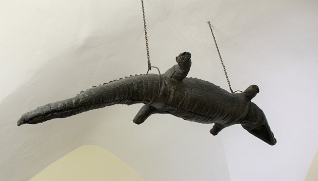 Alchymie i nejstarší krokodýl v Evropě. Nejen to nabízí vodní hrad v Budyni nad Ohří