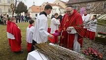 Mše svatá o Květné neděli v Litoměřicích