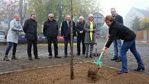 Představitelé Litoměřic zasadili poblíž budovy hospice sv Štěpána pamětní lípu.