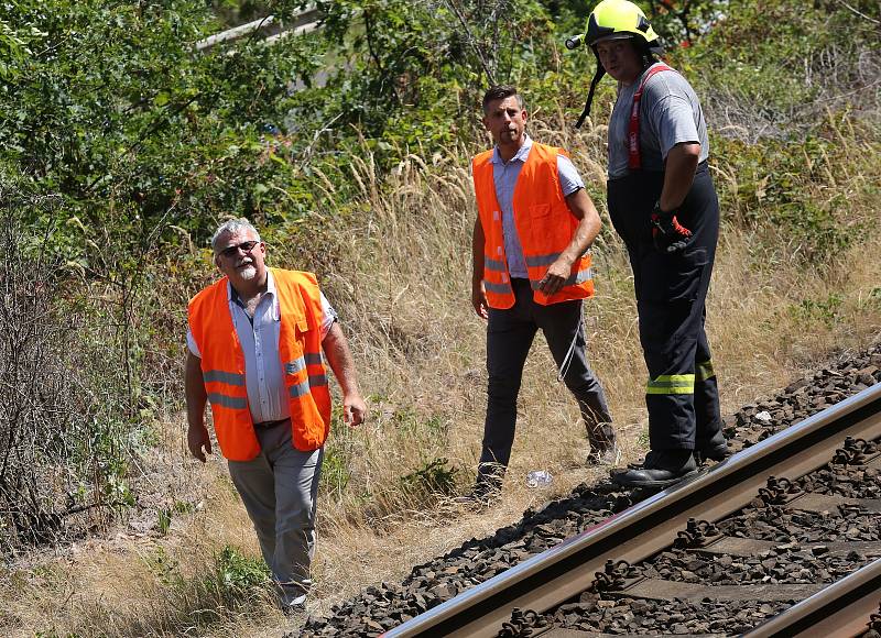 Plameny se ve středu 1. srpna dopoledne vzňaly v lese u Litochovic nad Labem.